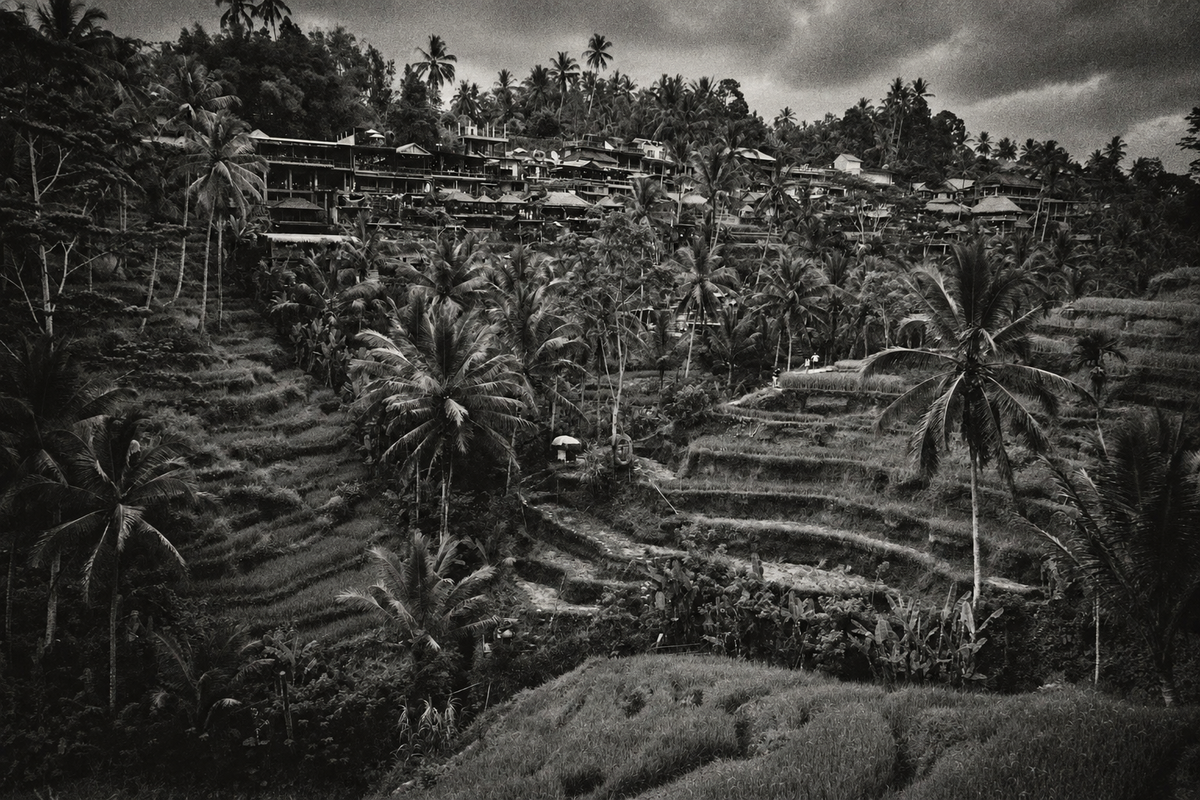Black and white landscape photograph of terraced rice fields with palm trees and a cluster of houses on a hillside under a dramatic cloudy sky.